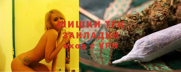 не бодяженный Иннополис