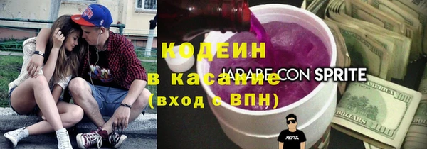 стаф Киренск